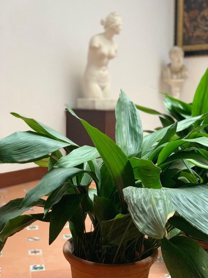 Angeles House Apartman Sevilla Kültér fotó